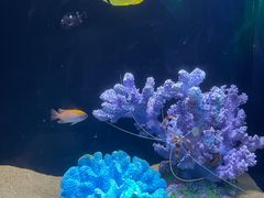 -欢乐海岸海洋奇梦馆