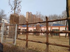 -郑州市动物园