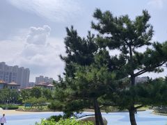 -悦海公园