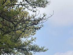 -同济大学(嘉定校区)