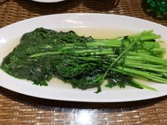 -广信传说
