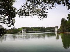 -东湖落雁景区
