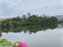 -成都南湖公园