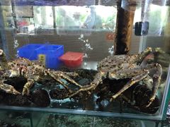 -寻味顺德·南记酒家·传统顺德菜·鱼生(广源路店)