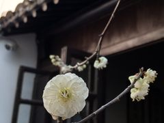 -南京市民俗博物馆(甘熙故居)