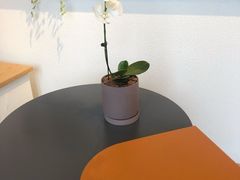 -LAB COFFEE来杯咖啡(浦仓路店)