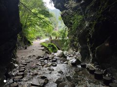 -黑河国家森林公园