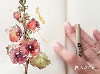 好想学画画，用画美一朵我爱的花朵！