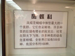 13.2-上海大自然野生昆虫馆