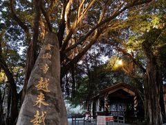 -仓山金山寺
