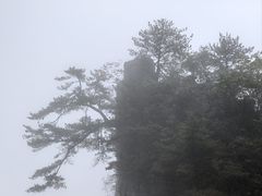 -恩施大峡谷
