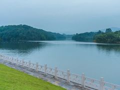 -佛手湖郊野公园