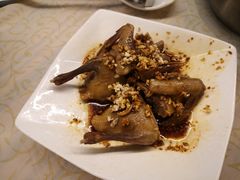 -百利鸽王(紫薇路店)