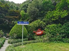 -十八棵（老龙井）御茶园(老龙井店)