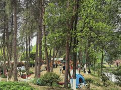 -铁山坪森林公园