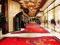 -拉斯维加斯永利酒店