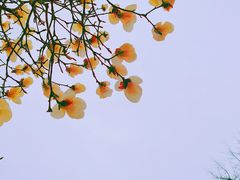 -睦南公园