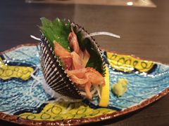 赤贝刺身-富力希尔顿酒店·源氏日餐厅