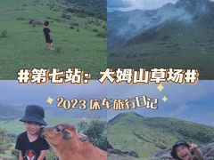 -大姆山草场