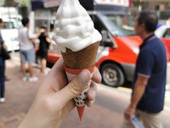 -富豪雪糕车流动点(尖沙咀店)