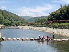 -四明山国家森林公园