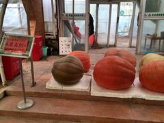 -祥源·阜阳生态乐园