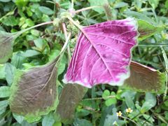 -水孩子国际儿童游泳早教中心(吾悦旗舰中心)