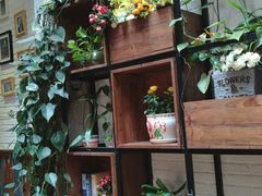 -杨小贤(五店市店)