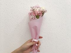 -武汉花鸟市场
