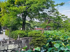 -鹤冈八幡宫