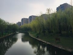 -新江湾城公园