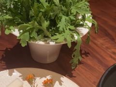蔬菜拼盘-揽季锅物会.福建黄鱼.海鲜姿造(五四路店)