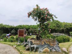 -都江堰玫瑰花溪谷