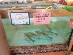 -年辉渔村·非遗传承餐厅(新丰江店)
