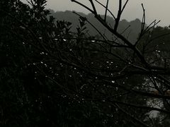 -普陀山祥生大酒店