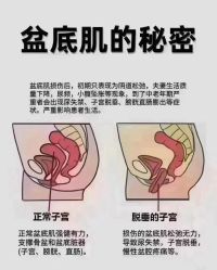 点击看大图 -昕孕瑜伽·孕妇瑜伽·产后修复