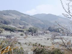 -福建天门山