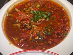 -京悦南门涮羊肉·羊蝎子火锅(田林路店)