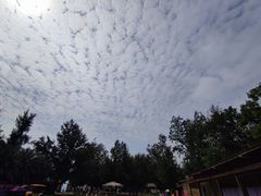 -玫瑰海岸文化旅游度假区