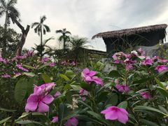 -花溪雨·森林餐厅(石基店)