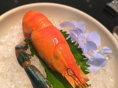 -随堂里