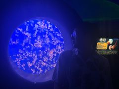 -江和美海洋公园