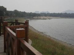 android_upload_pic-济南国际园博园