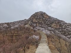 -龙泉峪长城