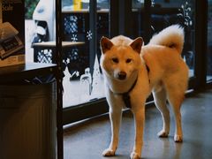 -微焙咖啡工厂(海峡创意产业园·红坊店)