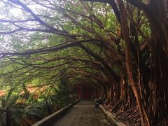 -南沙天后宫景区