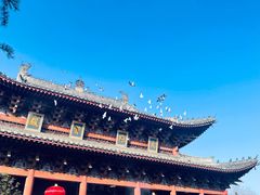 -洛阳白马寺