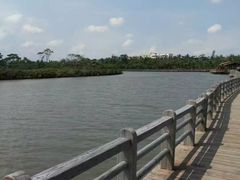-东寨港红树林旅游区
