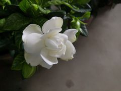 -北京厨房(西安SKP店)