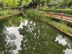 -望江楼公园
